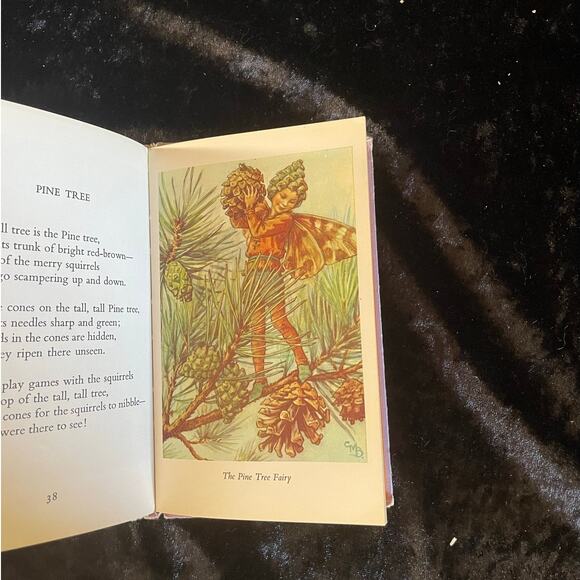 Flower Fairies of the Trees - 1974 Vintage Fairy Book - Picture 5 of 11